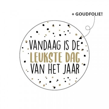 0015351wensetiket rond 40mm vandaag is de leukste dag vh jaar 250pr
