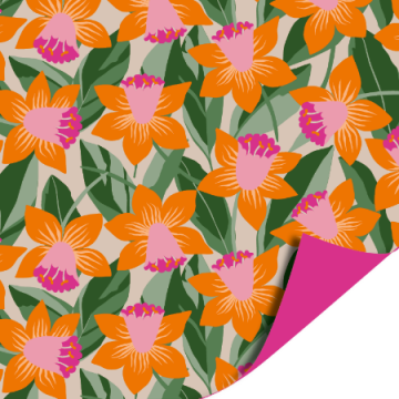 0036229cadeaupapier 70cm retro riviera