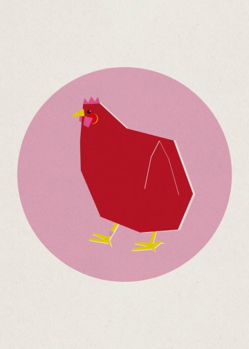 Ansichtkaart kip jet