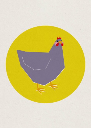 Ansichtkaart kip kee