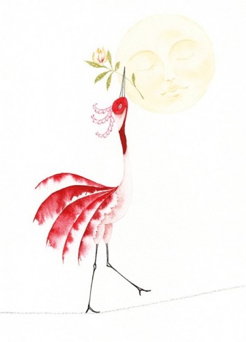 Isabellacircuskraanvogel