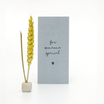 Someone special kaartbox2